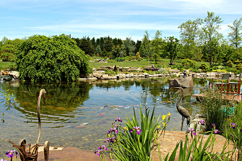Nysc entwood garden opendays83 web
